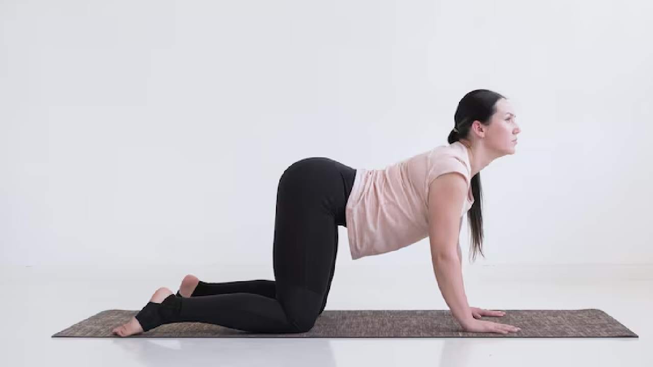 Cat Cow Pose