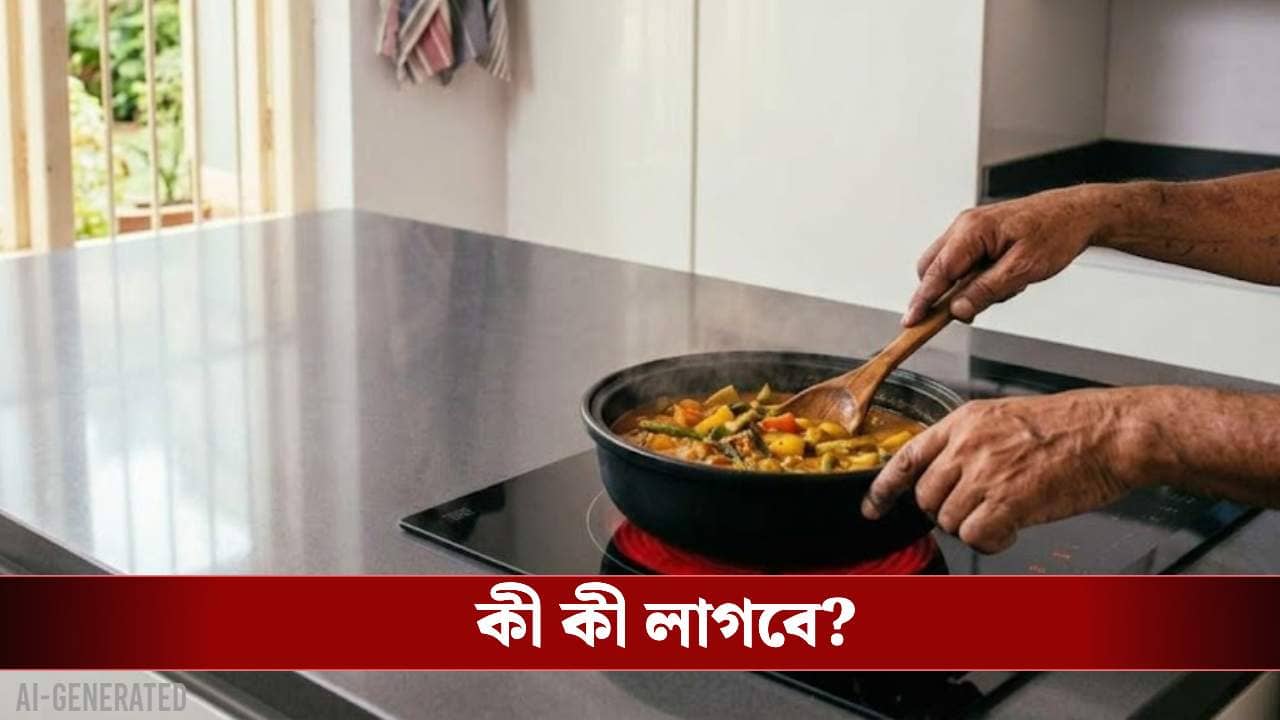গ্যাসের দামে নাভিশ্বাস? সিলিন্ডার ছাড়াই রান্না সারুন ঝটপট, রইল ৫টি স্মার্ট উপায়