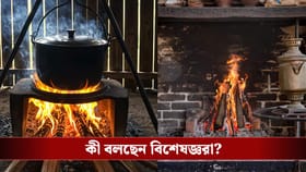 গ্যাসের অগ্নিমূল্যে কাঠের উনুনে রান্না করবেন ভাবছেন? আদৌ ঠিক?