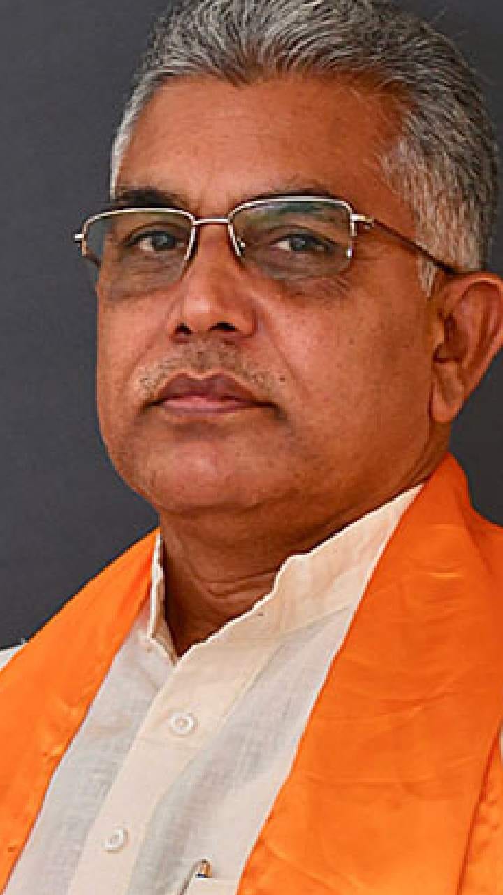 ‘টিএমসি মার খেয়েছে দেখে আনন্দে মিষ্টি খেয়েছি’, শশী পাঁজাকে কটাক্ষ দিলীপ ঘোষের