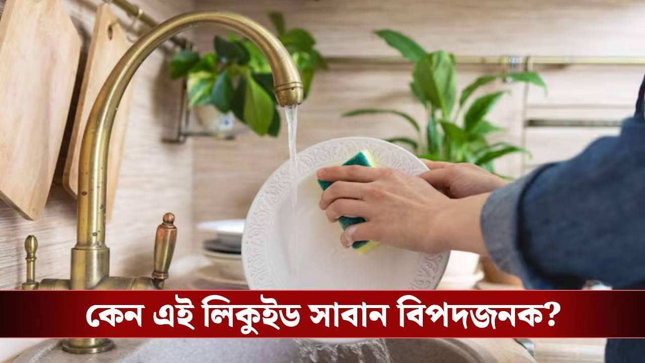 চকচকে বাসনই কি ডাকছে মরণব্যাধি? ডিশওয়াশিং লিকুইড ব্যবহারের আগে সাবধান!