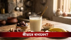 শরীরে ঘোড়ার মতো শক্তি ফেরাবে এই 'পঞ্চরত্ন' দুধ!