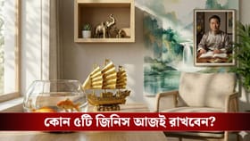 ভাগ্য ফেরাতে কাজে লাগান ফেংশুইয়ের এই ৫ টোটকা