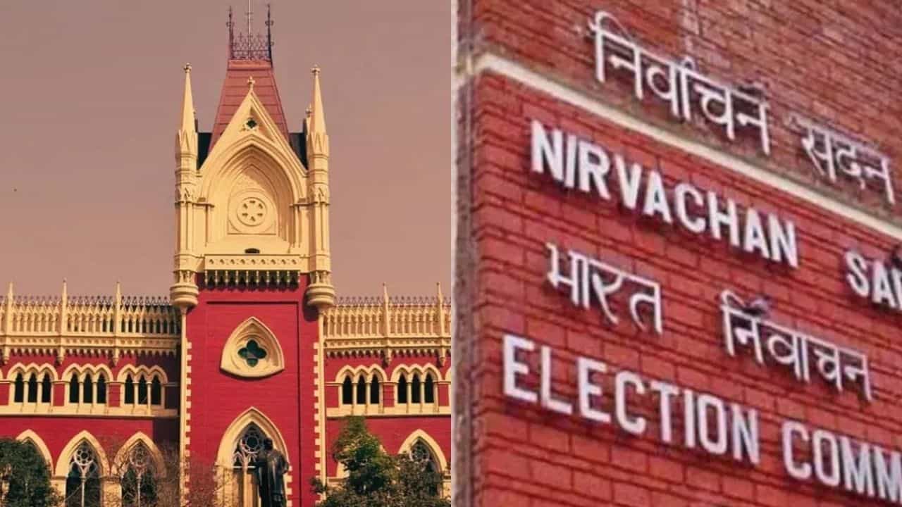 TMC complaint: ২৪ ঘণ্টার মধ্যে কমিশনকে জবাবদিহি করতে হবে তৃণমূলের কাছে! নির্দেশ কলকাতা হাইকোর্টের TMC complaint: ২৪ ঘণ্টার মধ্যে কমিশনকে জবাবদিহি করতে হবে তৃণমূলের কাছে! নির্দেশ কলকাতা হাইকোর্টের