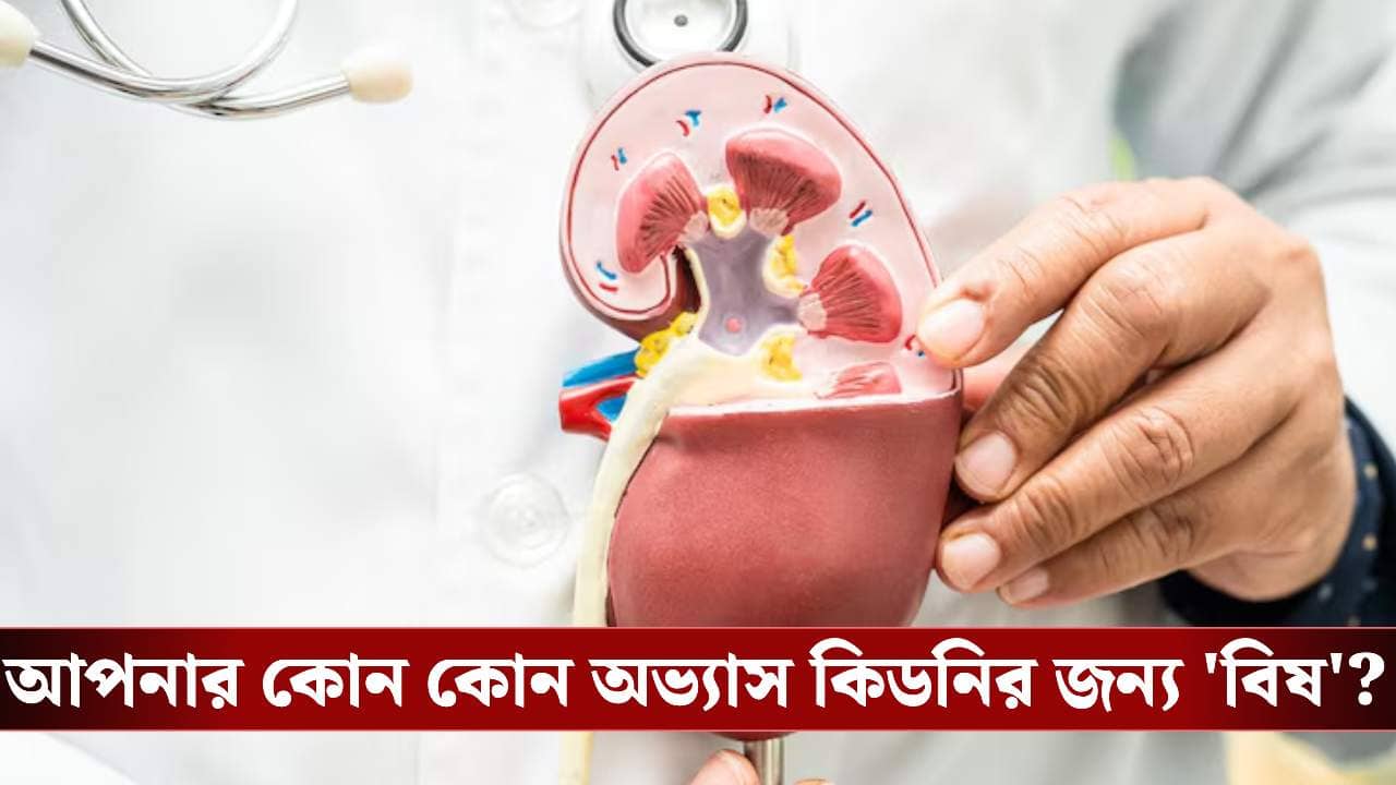 রোজকার এই ভুল বারোটা বাজাচ্ছে কিডনির, আজই সতর্ক হন না হলে বিপদ!