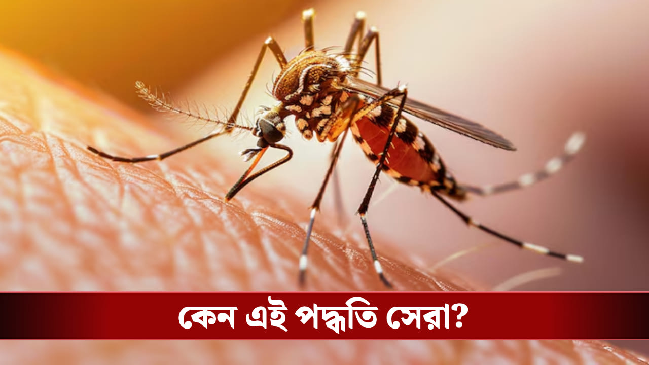 জানালায় রাখুন এই দুটি গাছ! মশা পালানোর পথ পাবে না জানালায় রাখুন এই দুটি গাছ! মশা পালানোর পথ পাবে না