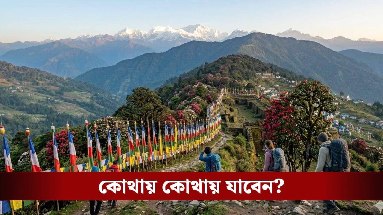 অল্প খরচে হাইকিং করবেন? বসন্তে ঘুরে আসুন বাংলার এই ৫ রুট