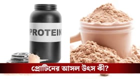 প্রোটিন পাউডার কেনার আগে সাবধান! অজান্তে বিষ গিলছেন না তো?