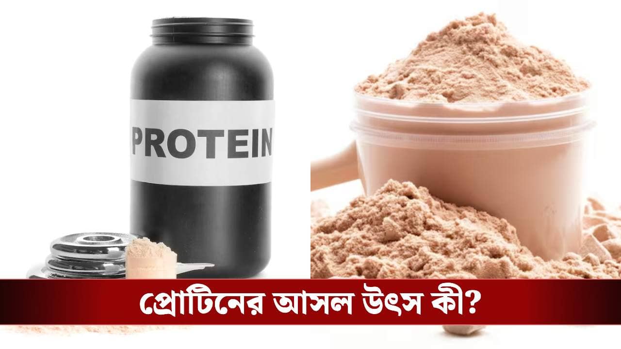 প্রোটিন পাউডার কেনার আগে সাবধান! অজান্তে বিষ গিলছেন না তো?