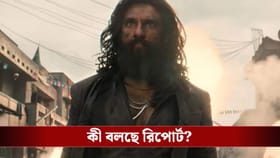 ৪ দিনেই ৪০০ কোটির গণ্ডি পার ‘ধুরন্ধর ২’-এর