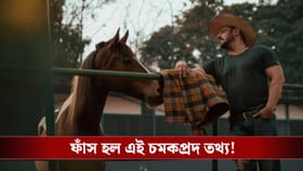 নিজের ঘোড়াকেই ছবিতে নামালেন সলমন!