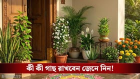 সদর দরজায় এই ১০ গাছ রেখেছেন? লক্ষ্মীর আশীর্বাদে সুখ উপচে পড়বে!