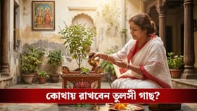 তুলসী পাতা নিয়ে এই ভুলগুলো করলেই রুষ্ট হতে পারেন মা লক্ষ্মী!
