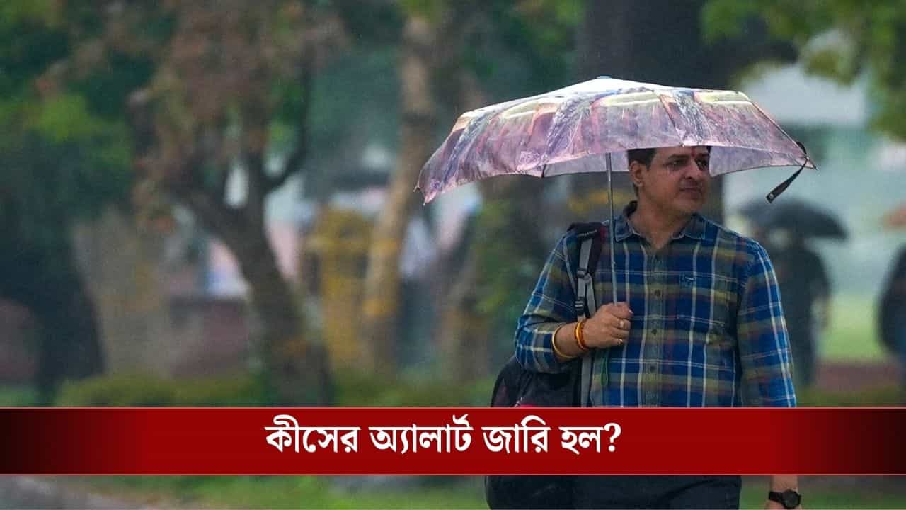 West Bengal Weather Update: রোদ উঁকি দিতেই চড়ছে পারদ, তবে সপ্তাহন্তে আবার জারি অ্যালার্ট, আবহাওয়ার লেটেস্ট আপডেট জানুন West Bengal Weather Update: রোদ উঁকি দিতেই চড়ছে পারদ, তবে সপ্তাহন্তে আবার জারি অ্যালার্ট, আবহাওয়ার লেটেস্ট আপডেট জানুন