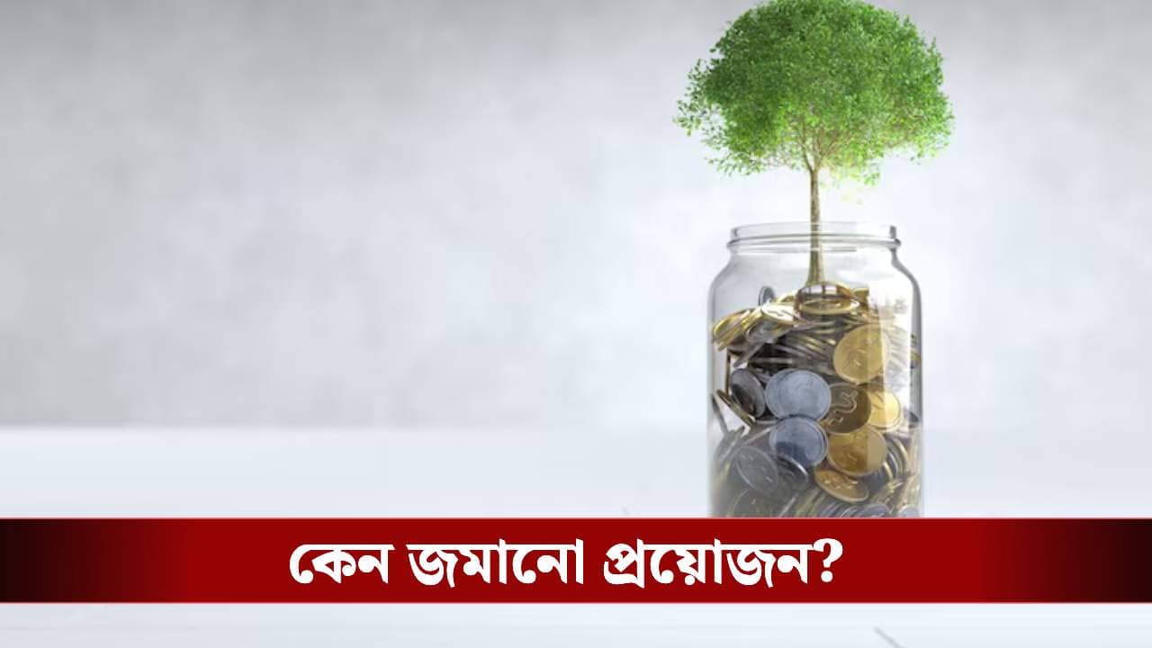 যুবসাথীর টাকা ঢুকেছে? জেনে নিন কোথায় কোথায় করবেন বিনিয়োগ