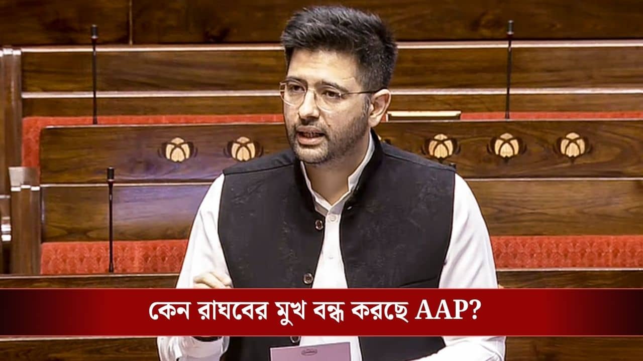 Raghav Chadha: রাঘব চাড্ডাকে যেন বলার সুযোগ না দেওয়া হয়! জমা পড়ল আর্জি, আম আদমি পার্টিই সরিয়ে দিল পদ থেকে