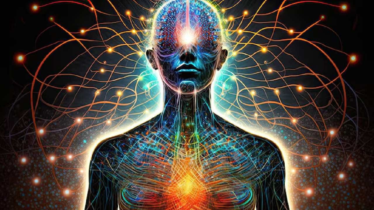 আমের খোসা থেকে আঁটি পর্যন্ত ব্যবহার করলে অপচয় যেমন কমে, তেমনই খাওয়ার পাতেও আসে বৈচিত্র্য। এই গরমে আম খাওয়ার চিরাচরিত অভ্যেস বদলে ট্রাই করে দেখুন এই ঘরোয়া রেসিপিগুলো। আমের প্রতিটি অংশই হয়ে উঠবে আপনার রসনার তৃপ্তি। Free Pik