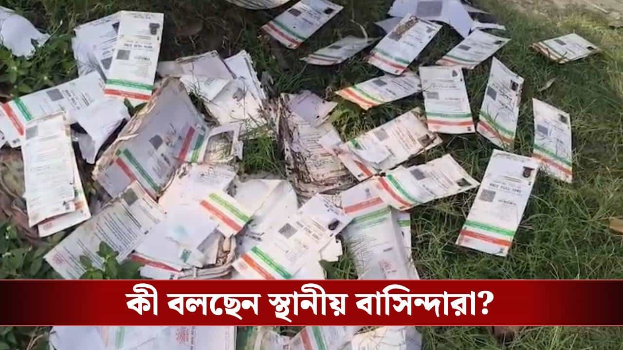 Aadhaar Cards Found: নিউটাউনে খালের ধারে পড়ে কয়েকশো আধার কার্ড, কোথা থেকে এল? Aadhaar Cards Found: নিউটাউনে খালের ধারে পড়ে কয়েকশো আধার কার্ড, কোথা থেকে এল?
