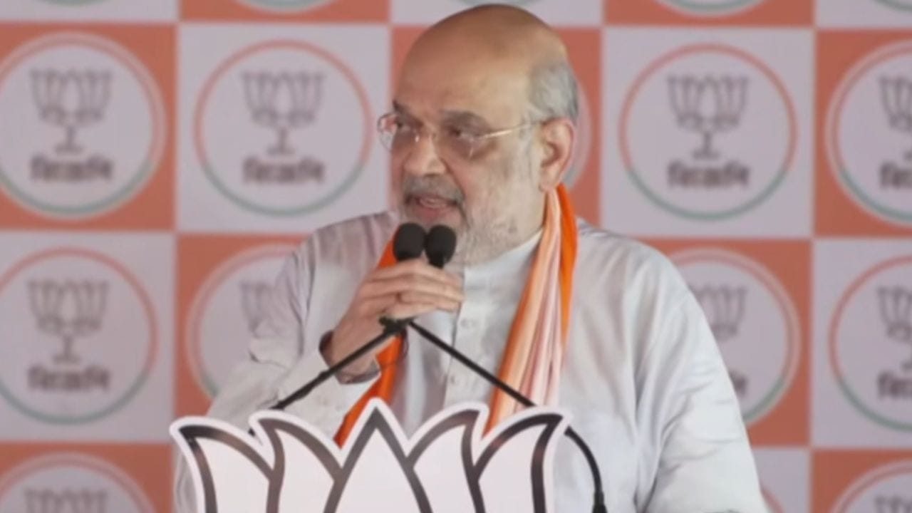 Amit Shah Hingalganj: পরিবর্তনের ডাক দিয়ে শাহের ‘প্রচণ্ড’ হুঙ্কার