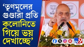 'তৃণমূলের গুণ্ডারাজ শেষ হবেই', হুঙ্কার শাহর