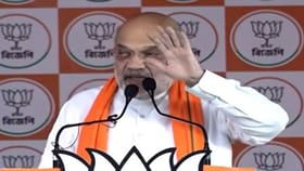 'বাংলাদেশ থেকে নকল চাইনিজ রসুন...', কী বললেন শাহ?