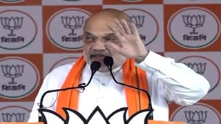 ‘বাংলাদেশ থেকে নকল চাইনিজ রসুন…’, কী বললেন শাহ?