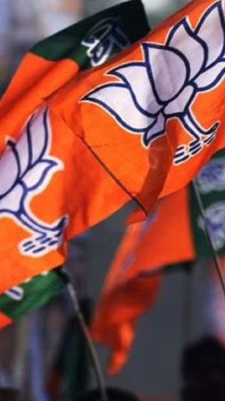 মেদিনীপুর থেকে চুঁচুড়া বিজেপির প্রচারে শুধুই 'মৎস্যাবতার'!