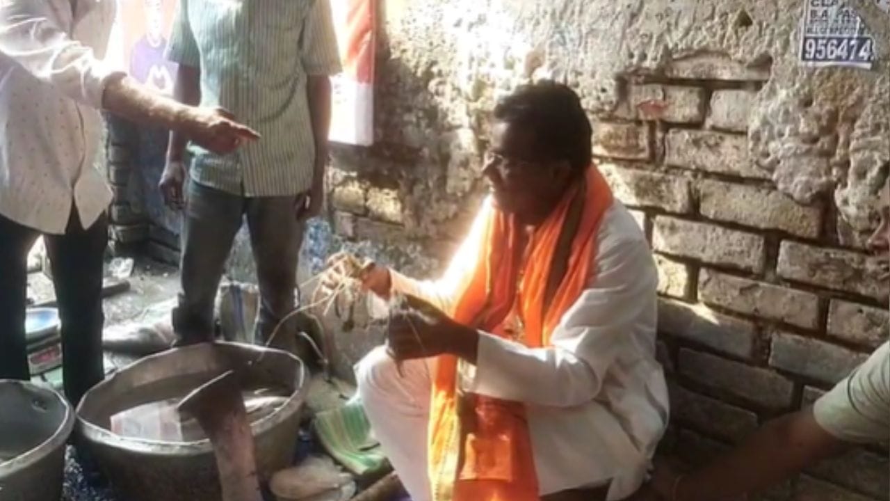 শাসকদলের বিরুদ্ধে মাছ নিয়ে 'মিথ্যাচার'-এর অভিযোগ তুলে মূলত হিন্দুত্ব ও বাঙালি সংস্কৃতির মেলবন্ধন ঘটানোই এর লক্ষ্য।