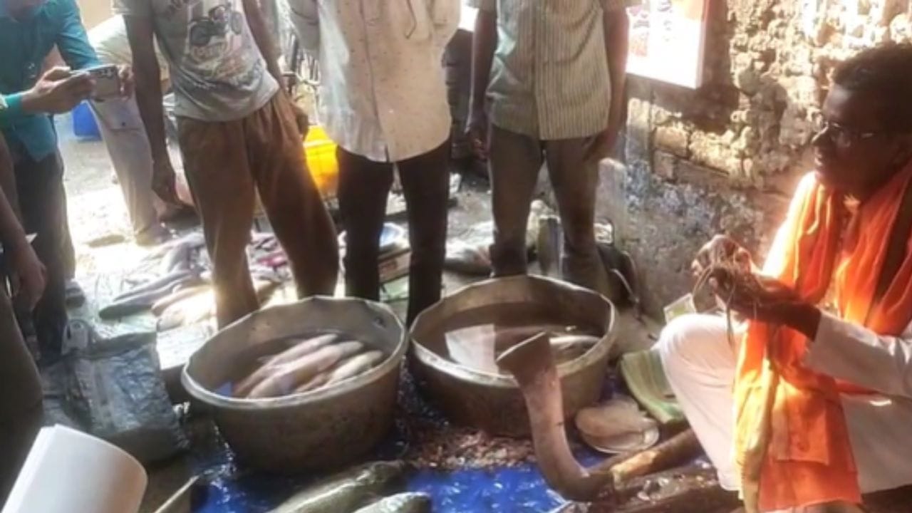 ণমূলের অভিযোগ, বিজেপি আসলে মাছ খাওয়া বা আমিষ আহারের বিরোধী। ভারতের অন্যান্য রাজ্যে বিজেপি শাসিত এলাকায় আমিষ খাদ্যাভ্যাস নিয়ে যে কড়াকড়ি বা বিতর্ক রয়েছে, তাকে সামনে রেখেই তৃণমূল প্রচার করছে যে— বিজেপি বাংলায় নিজেদের নিরামিষাশী আদর্শ চাপিয়ে দিতে চায়।