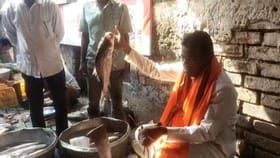 মাছ বিক্রি করছেন প্রার্থী! রবিবারের বাজারে এসে চমকে গেলেন আমজনতা