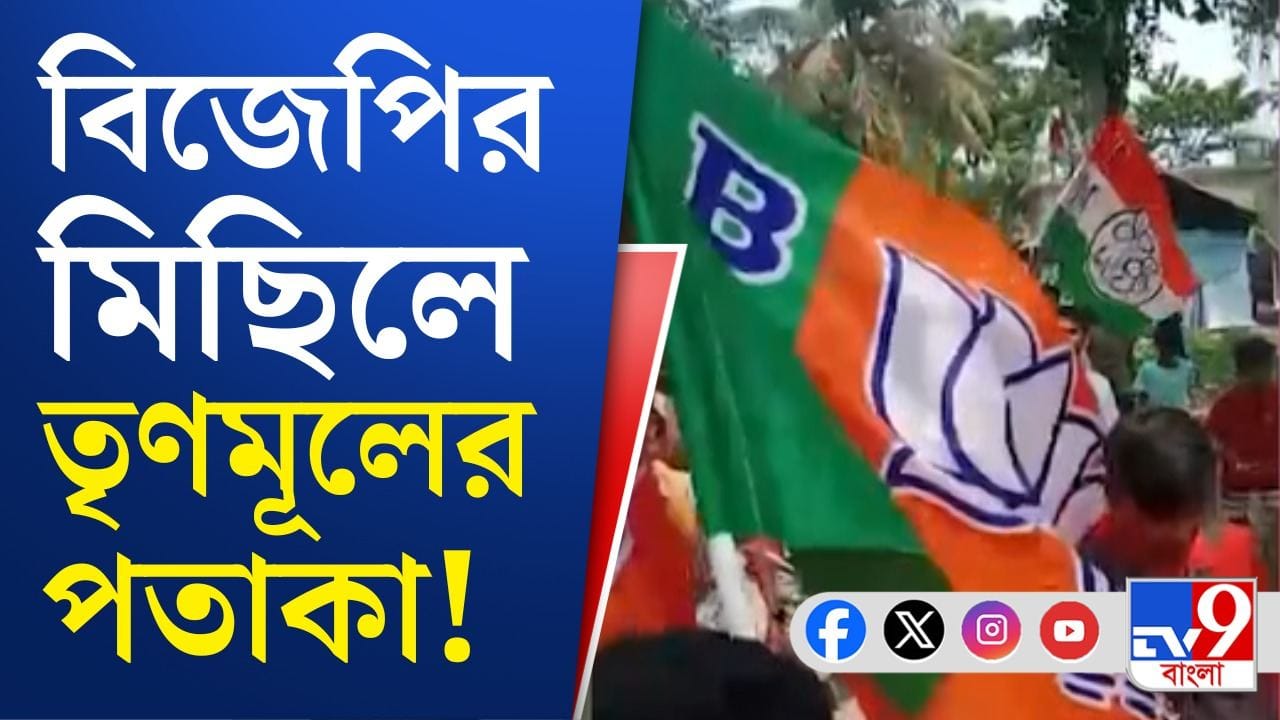 TMC vs BJP: তৃণমূলের পতাকা নিয়ে বিজেপির মিছিলে ঢুকে পড়ার অভিযোগ