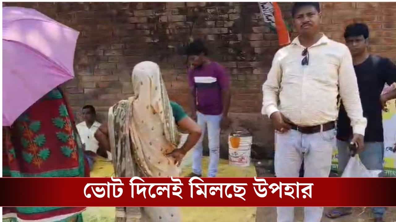 West Bengal Election 2026: ভোট দিলেই কী কী 'উপহার' দিচ্ছে তৃণমূল-বিজেপি?