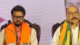 অনুরাগ-শ্রিংলার নিশানায় তৃণমূল, কী বললেন?