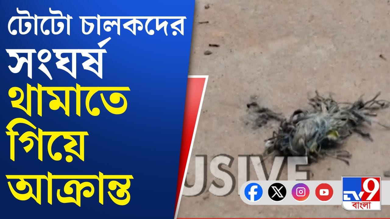 ছাড় পেল না কেন্দ্রীয় বাহিনীও, কী চলছে সাঁইথিয়ায়?