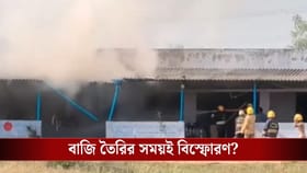 বাজি তৈরির কারখানায় ভয়াবহ বিস্ফোরণ, ১৩ জনের মৃ্ত্যু