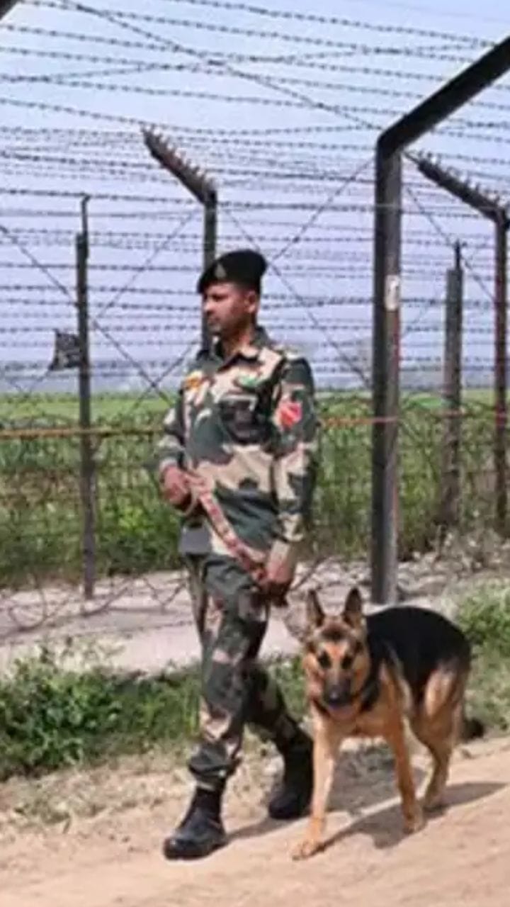 হাসনাবাদ সীমান্তে BSF-এর ডিজি, নজরদারি বাড়ানোর নির্দেশ