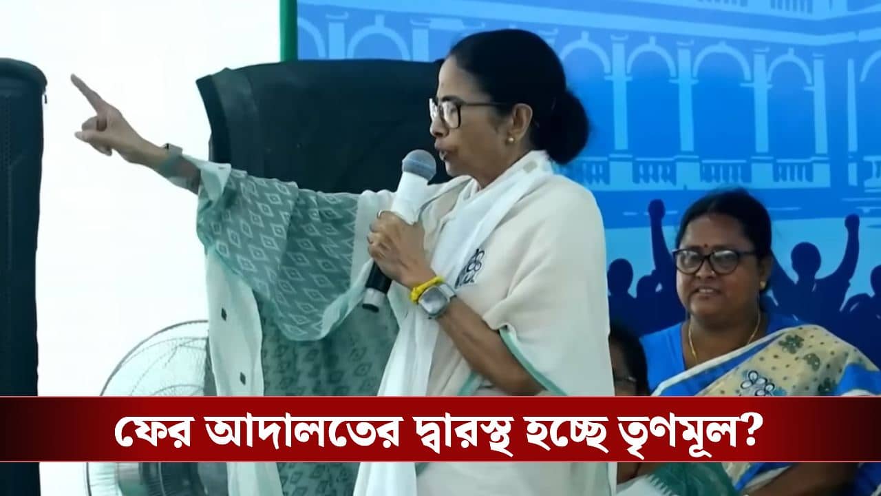 CM Mamata Banerjee: আমি বোকা হতে পারি, কিন্তু আইনজীবী হিসাবে মনে হয় আমাদের কোর্টে যাওয়া উচিত: মমতা