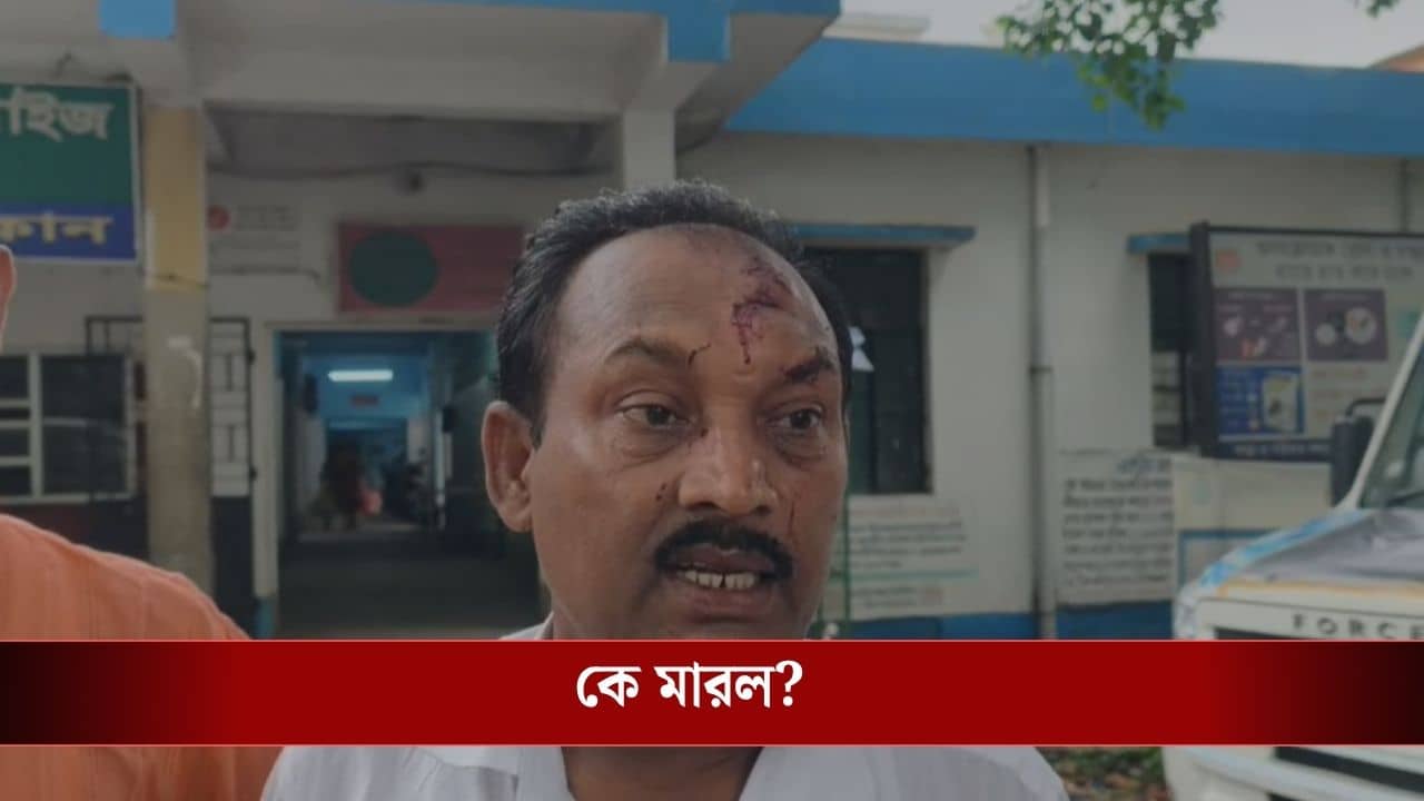 Nadia BJP Agent Attacked: দ্বিতীয় দফার ভোট শুরুর আগেই ঝরল রক্ত, মেরে মাথা ফাটিয়ে দেওয়া হল বিজেপি এজেন্টের