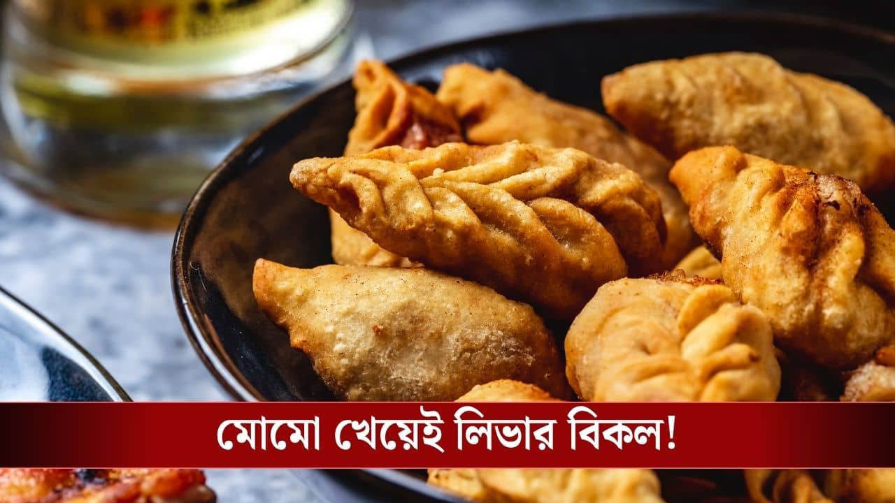 Delhi Girl Liver Fail: রোজ রোজ মোমো খাওয়াই কাল! হারাল স্মৃতি, গুরুতর অসুস্থ কিশোরী