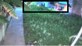 এই দেখুন 'ভয়ঙ্কর খেলা হবে' বলে বাইক বাহিনী পাড়ায় পাড়ায় ঢুকে কী করছে