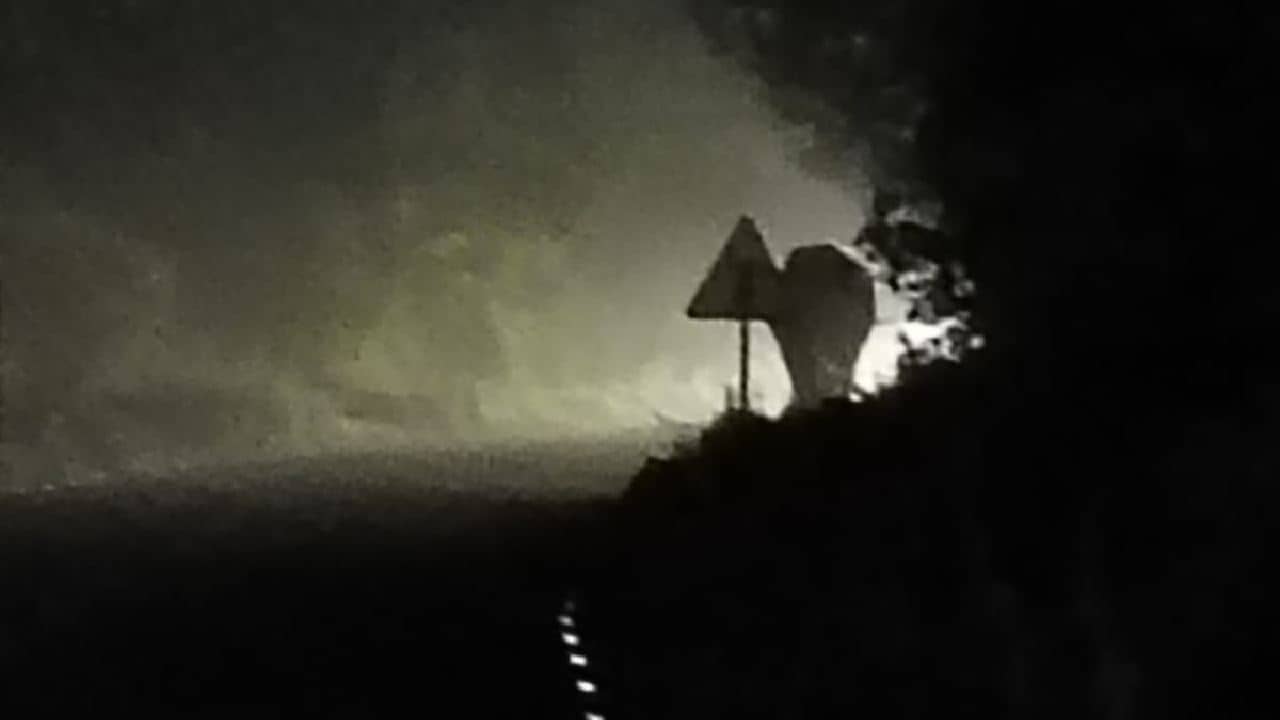 Election in Bengal 2026: ভোট শেষে রাতের অন্ধকারে গাড়িতে আসছিল ইভিএম, রাস্তাতেই ভয়ে সিঁটিয়ে গেলেন ভোট কর্মীরা