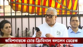 '২২ বছর রাজনীতি করছি...', বুধবার যা ঘটল, তা 'লজ্জার' বললেন ডেরেক