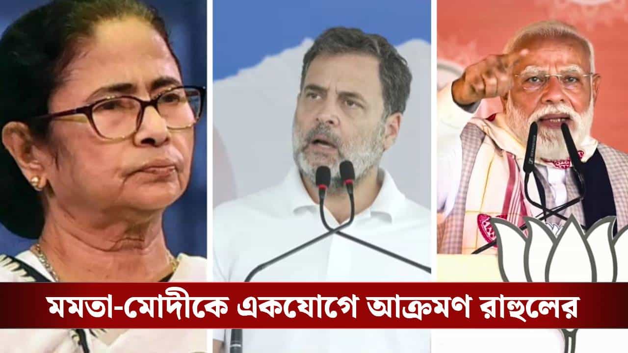 Rahul Gandhi at Raiganj: 'তৃণমূলই বিজেপির পথ খুলে দিচ্ছে', রাজ্যে এসে মোদী-মমতাকে একযোগে 'দুর্নীতিগ্রস্ত' বললেন রাহুল Rahul Gandhi at Raiganj: 'তৃণমূলই বিজেপির পথ খুলে দিচ্ছে', রাজ্যে এসে মোদী-মমতাকে একযোগে 'দুর্নীতিগ্রস্ত' বললেন রাহুল