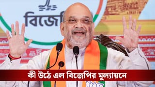 Amit Shah on Bengal: ১৫২-তে ১১০ আসন পাওয়ার কথা কেন বললেন শাহ? কী উঠে এল বিজেপির মূল্যায়নে
