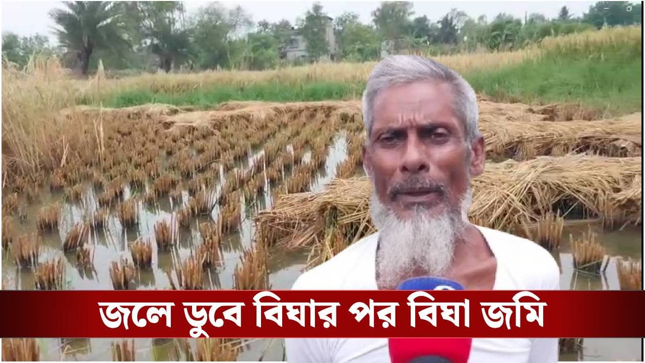 Farmers in Bengal: ধার করেছি... মেটাব কী করে!, অকাল বৃষ্টিতে মাথায় হাত ওদের