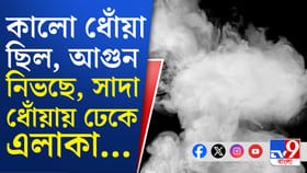 বজবজ-শিয়ালদহ লাইনে ট্রেন চলাচল বন্ধ, কেন?