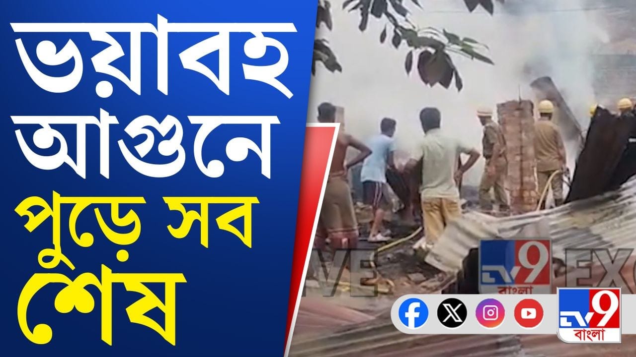 Duttapukur Fire Incident: ভয়াবহ আগুনে পুড়ে সব শেষ Duttapukur Fire Incident: ভয়াবহ আগুনে পুড়ে সব শেষ