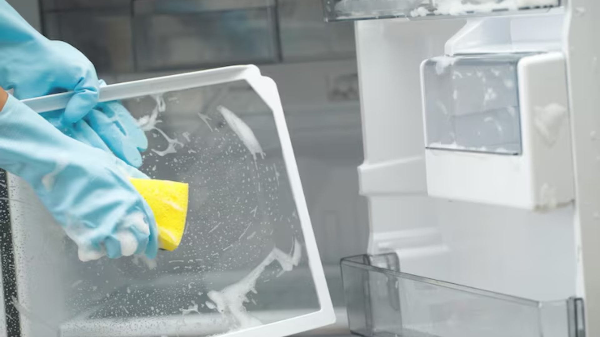 পুরানো ব্রেড স্লাইসের কেরামতি: ফ্রিজের অতিরিক্ত আর্দ্রতা ও ভ্যাপসা গন্ধ শুষে নিতে এক টুকরো ব্রেড রেখে দিতে পারেন। এটি বাতাস থেকে দুর্গন্ধ টেনে নেয়। তবে প্রতি ১-২ দিন অন্তর ব্রেডটি বদলে ফেলুন।