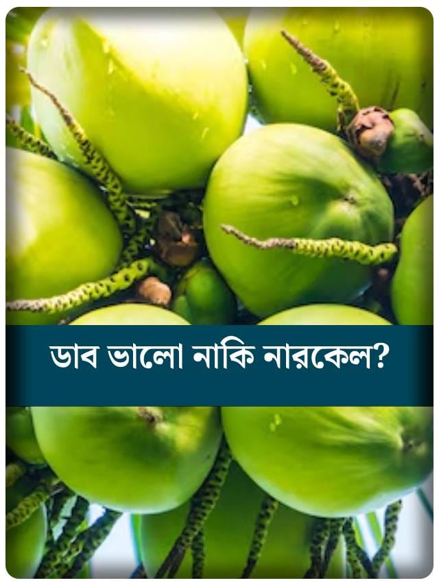 ডাবের জল নাকি নারকেলের জল, কোনটি শরীরের জন্য সেরা?
