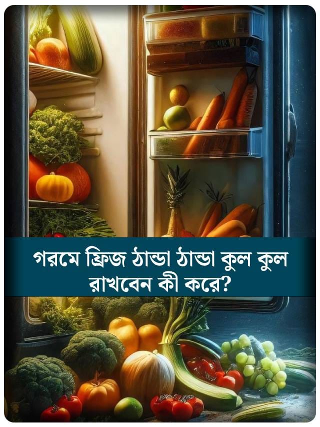 হিমালয়ের মতো ঠান্ডা হবে ফ্রিজ, শুধু মানুন এই ট্রিকগুলো